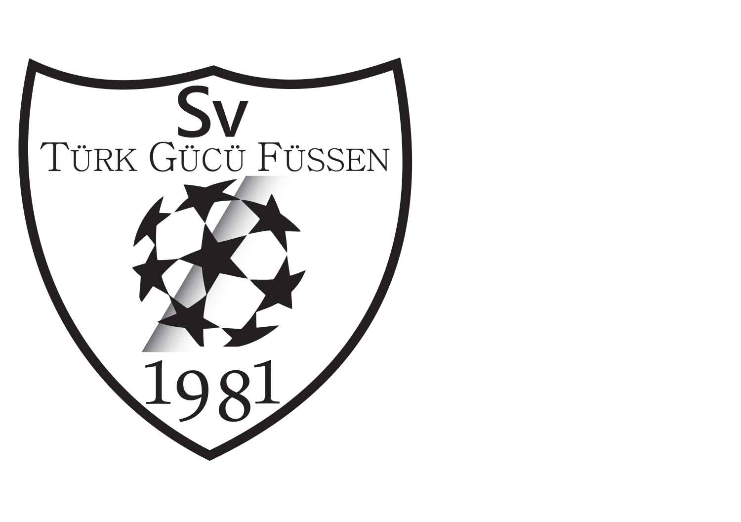 Logo SV Türk Gücü